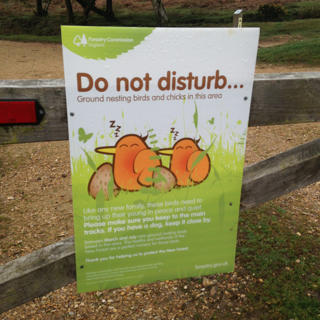 Take care when on the New Forest not to disturb ground nesting birds from March until July.