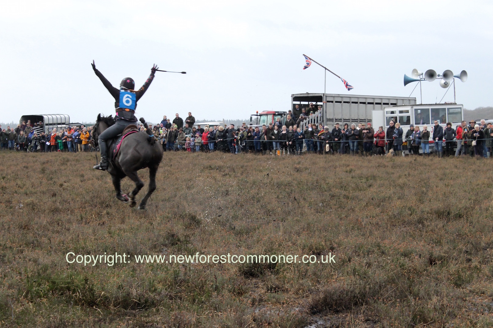 The New Forest Boxing Day point-to-point is a great day out for the family.