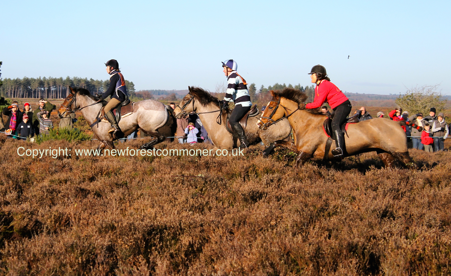 The Boxing Day point-to-point has a full race card including veteran's, children's, and ladies races.